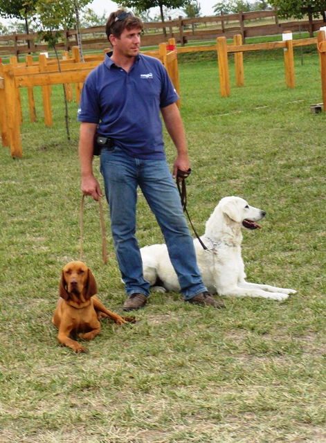 kunszlls 2009