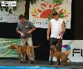 HUNGARIKUM FESZTIVL 2009