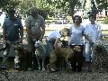 HUNGARIKUM FESZTIVL 2009