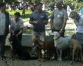 HUNGARIKUM FESZTIVL 2009