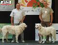 HUNGARIKUM FESZTIVL 2009